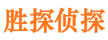 临安婚外情调查